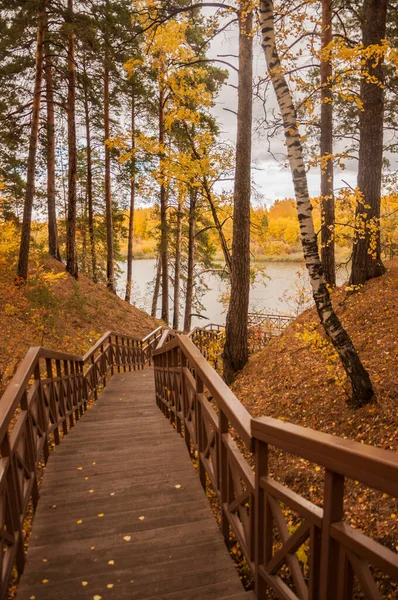 Sonbahar Ormanında Merdivenleri Olan Eski Ahşap Köprü Ormanda Merdiven Var — Stok fotoğraf