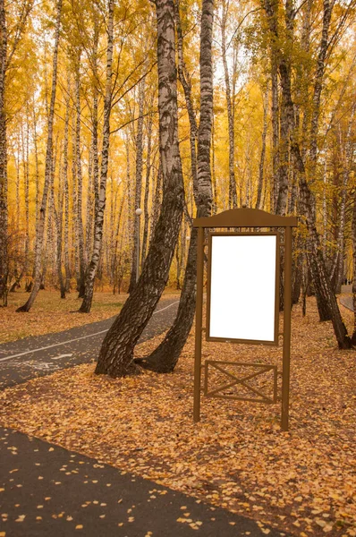Sonbahar Parkında Boş Yol Işaretleri Metin Için Boş Alan — Stok fotoğraf