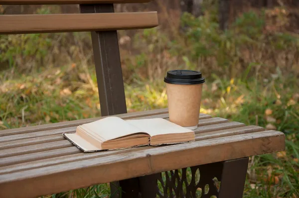 Libro Banco Madera Parque Otoño Junto Una Taza Papel Imagen de stock