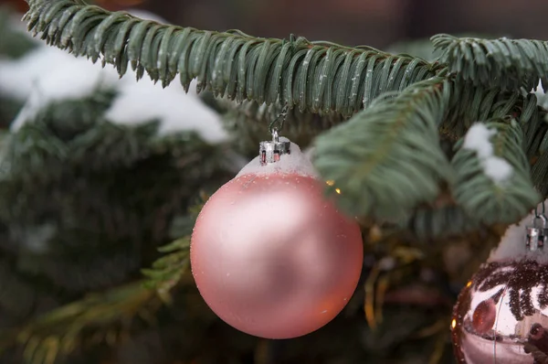 Donmuş Ladin Karlı Kış Noel Arkaplanı Mutlu Yıllar Metin Uzayı — Stok fotoğraf