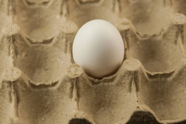 Yumurta Kutusunda Tek Başına Kusursuz Beyaz Tavuk Yumurtası Yalnızlık Konsepti — Stok fotoğraf