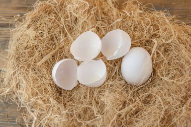 Taze yumurtalar samanlıkta fotokopi alanı ile birlikte.