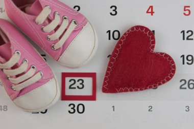 Seçili takvim ve Bebek Ayakkabı ayrıntı vade tarihi