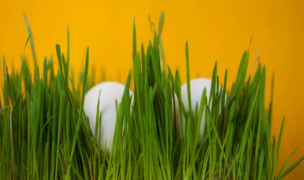 Dwie Świeże Jajka Trawie Chrześcijańskie Święto Symbol Wielkanocny — Zdjęcie stockowe