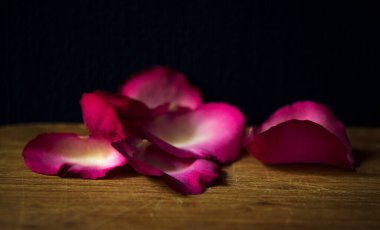 Tahtada gül yaprakları ve siyah ışık gölge alanı kopyalama arkaplanı.