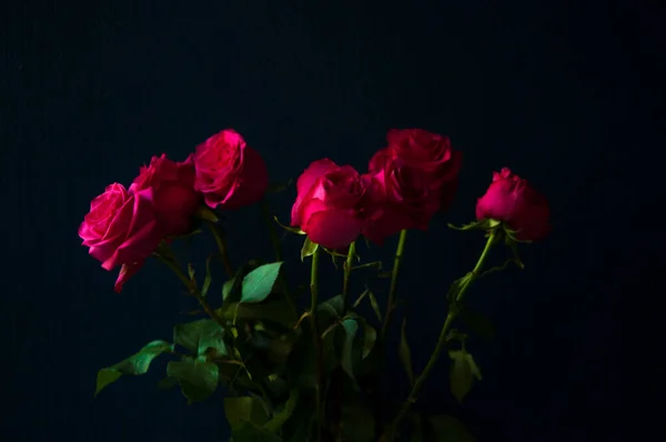 黑色背景上的红色小玫瑰花束 — 图库照片