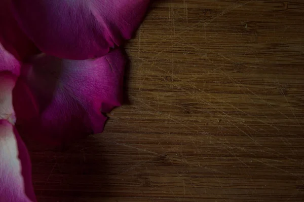 木材上的玫瑰花瓣和黑色光影复制空间背景 — 图库照片