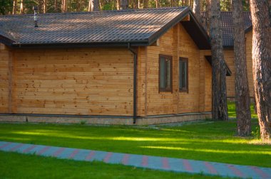 Orman ve küçük ev yaz gün