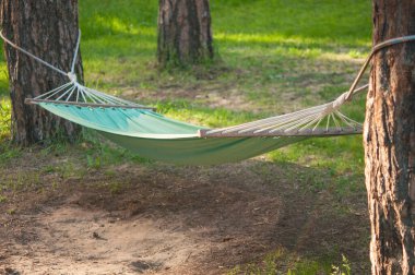 Ağaçların arasında güneş ışığı olan bir Alman ormanında hamak tatili