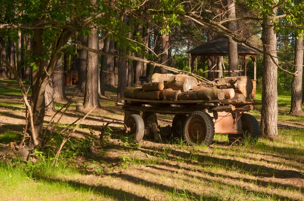 Vida Campo Carro Madera Viejo Sin Caballo Leña Apilada Heno — Foto de Stock