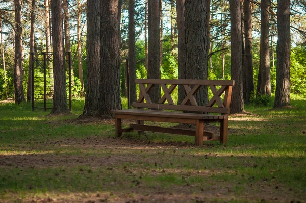 Leere Holzbank Auf Grünem Rasen Stadtpark Sonnigen Sommertagen Öffentlicher Stuhl — Stockfoto