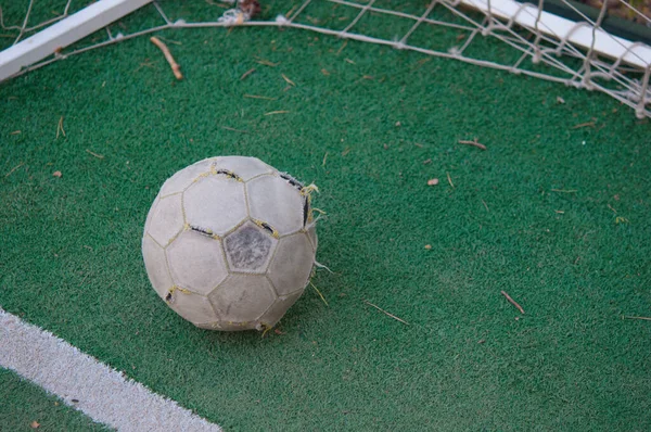 Pallone Calcio Adagiato Sul Campo Sportivo Verde Tra Cancelli — Foto Stock