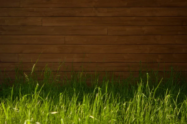 Wooden Wall Background Framed Green Bushes Grass — Stock Photo, Image