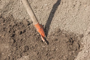 Shovel in the ground, close-up. Close-up of the head of a shovel dug into the ground.
