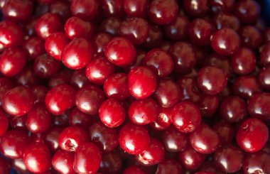 Ripe cherries background. Cherry with drops. Food background.