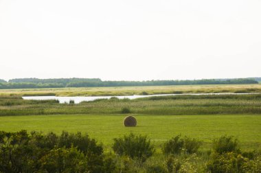 Yeşil bir çayırda saman balyası ve gökyüzünde bulutlar