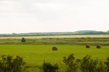 Yeşil bir çayırda saman balyası ve gökyüzünde bulutlar