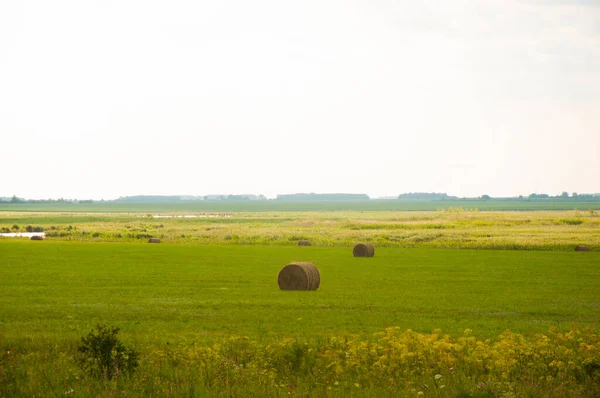 Hay Bale Green Meadow Clouds Sky — Stock Photo, Image