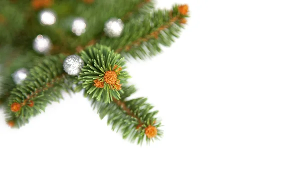 Pinheiro isolado no canto do quadro de Natal — Fotografia de Stock