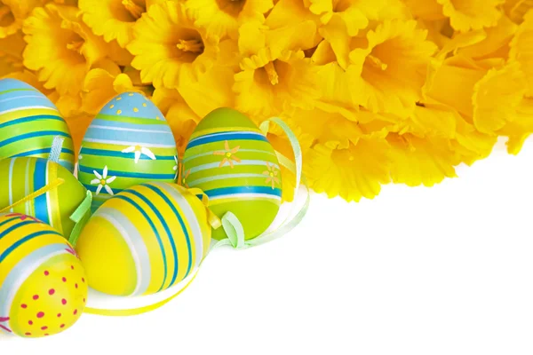 Green and Blue Striped Easter Eggs with Yellow Daffodils on White Background — Stock Photo, Image