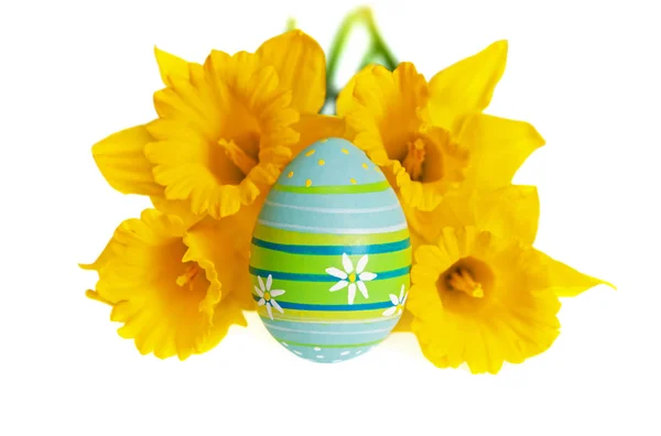 Isolated Easter Egg Painted in Blue and Green Against Yellow Daffodils — Stock Photo, Image