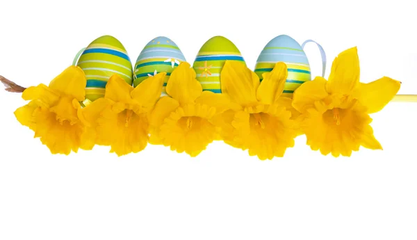 Isolated Easter Eggs Behind a Row of Yellow Daffodil Flowers — Stock Photo, Image