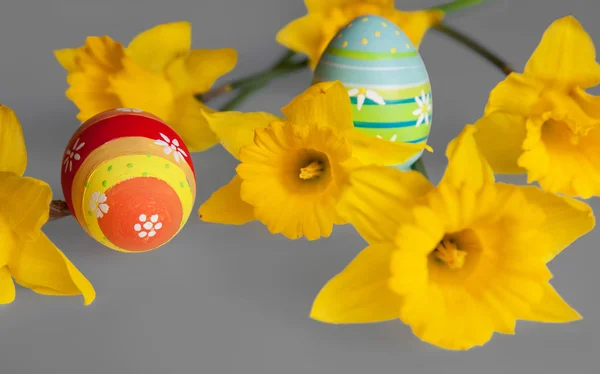 Colorful Easter Eggs and Yellow Daffodils on Gray Background — Stock Photo, Image