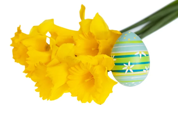 Isolated Blue Easter Egg with Green Stripes Leaned on Yellow Daffodils — Stock Photo, Image