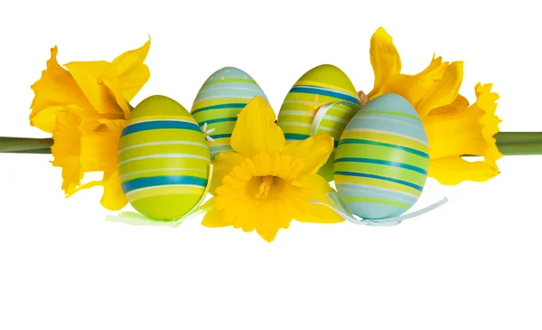Isolated Easter Eggs and Yellow Daffodil Flowers in a Row — Stock Photo, Image