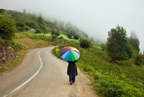 화려한 우산 안개 꼬불꼬불한 길을 걷는 여자 스톡 이미지