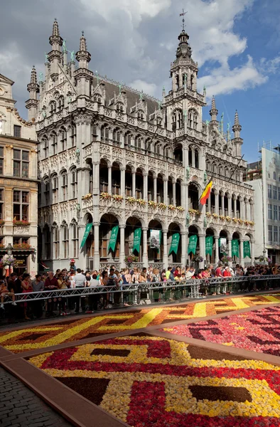 Maison du Roi o King House en la Grand Place de Bruselas durante el Festival de alfombras de flores — Foto de Stock
