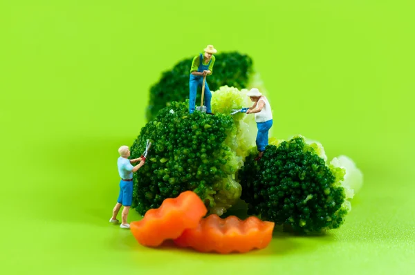 Figurine farmers harvesting broccoli — Stock Photo, Image