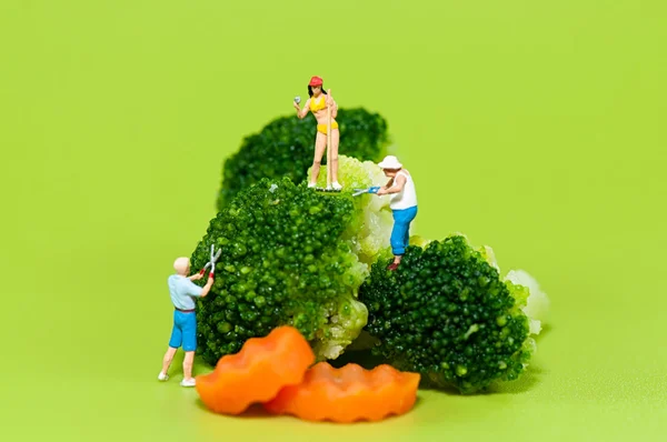 Coltivatori che raccolgono broccoli — Foto Stock