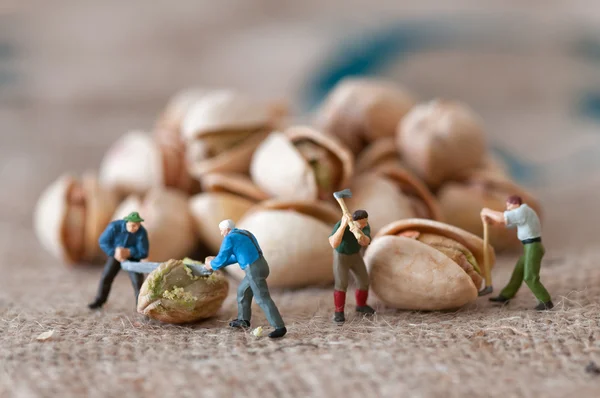 Speelgoed cijfers van boswerker met een pinda — Stockfoto