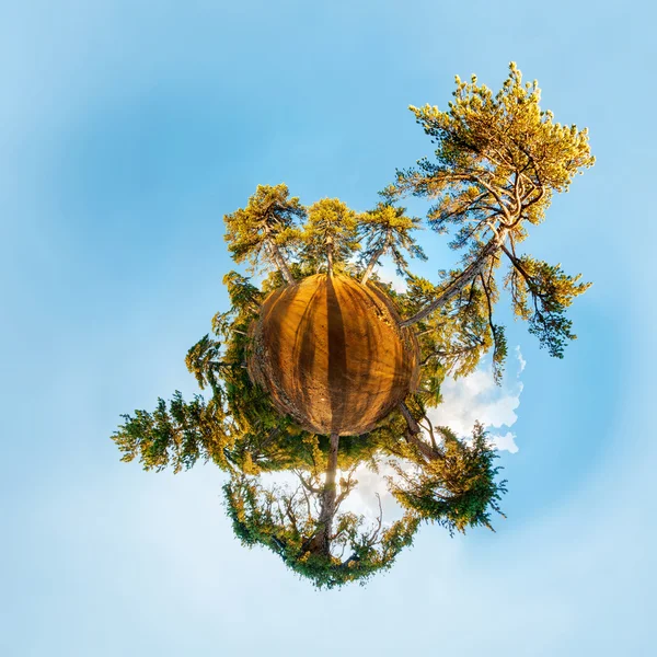 Planète miniature avec forêt de pins — Photo