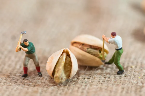 Les bûcherons miniatures coupent les pistaches — Photo