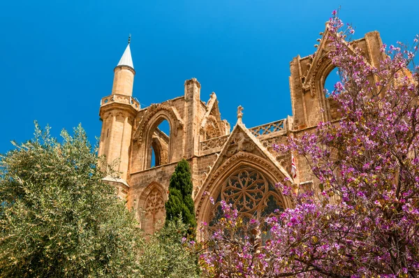 St. nicholas Katedrali — Stok fotoğraf