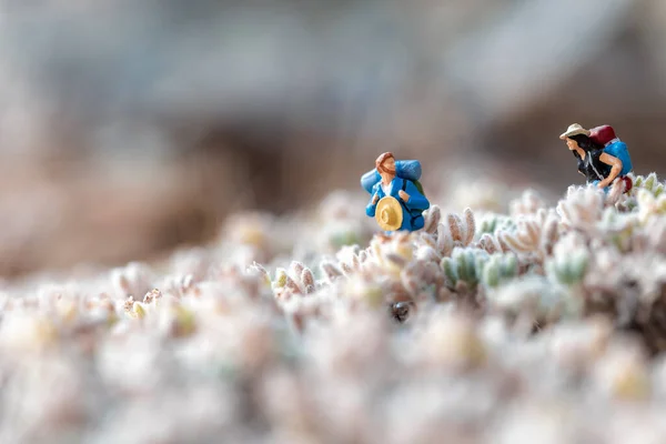 stock image Miniature hiker couple in a meadow. Macro photo