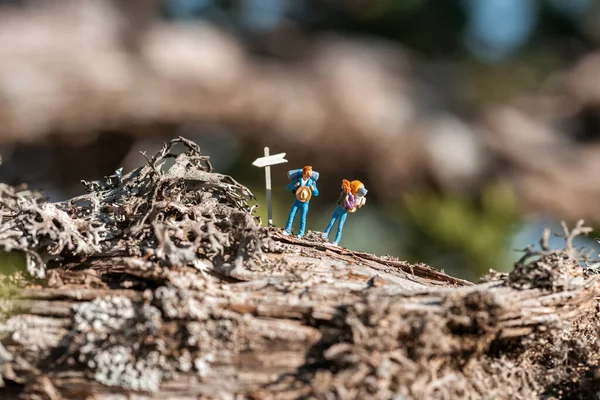 Randonneurs Miniatures Panneaux Sentiers Randonnée Dans Une Forêt — Photo