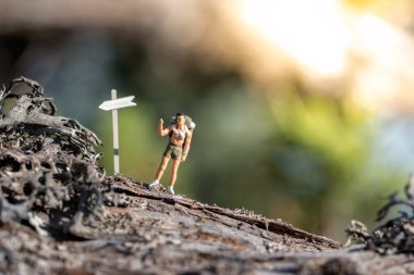 Ormandaki yürüyüş yolunda sırt çantalı biri.