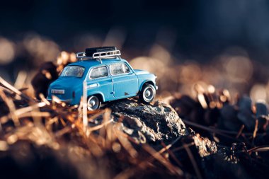 Ormanda çatı rafı olan minyatür bir arabanın arka manzarası.