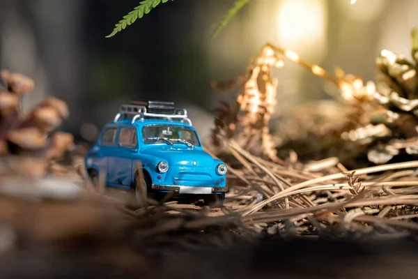 Coche Miniatura Con Portaequipajes Bosque — Foto de Stock