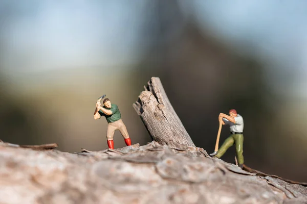 Zwei Holzfäller Schneiden Baumstumpf Mit Äxten — Stockfoto