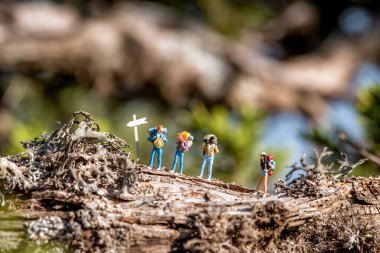 Ormandaki tabela direğinde sırt çantalı bir grup yürüyüş arkadaşı.