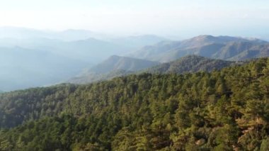 Yeşil kozalaklı ormanlı manzaralı dağ manzarası. Troodos, Kıbrıs