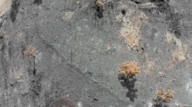 Yangından sonra kırsal alan manzarası. Arakapas köyü, Limasol İlçesi, Kıbrıs