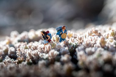 Etrafa bakan iki gezgin.