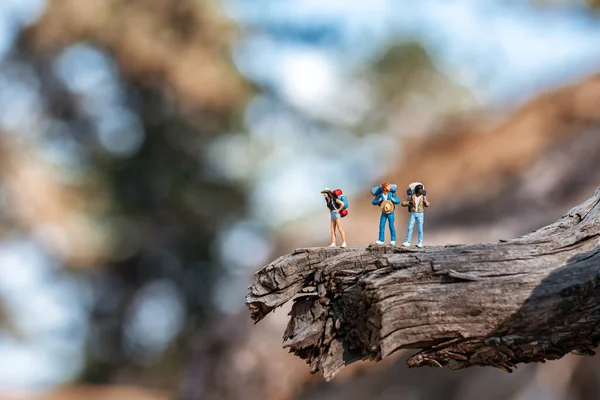 Three Backpackers Figurines Standing Wood Stump — Stock Photo, Image