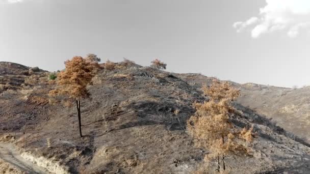 Burnt Out Hill Wildfire Arakapas Village Limassol District Cyprus — Stock Video