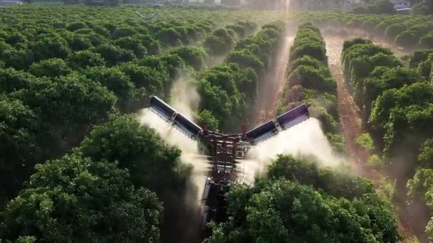 Pulverizador Tractor Pulverización Insecticida Fungicida Naranjos — Vídeos de Stock